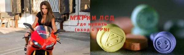 спиды Тайга