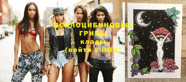 mdpv Ивангород