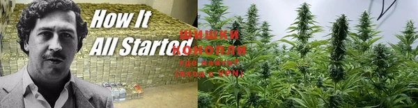 спиды Тайга