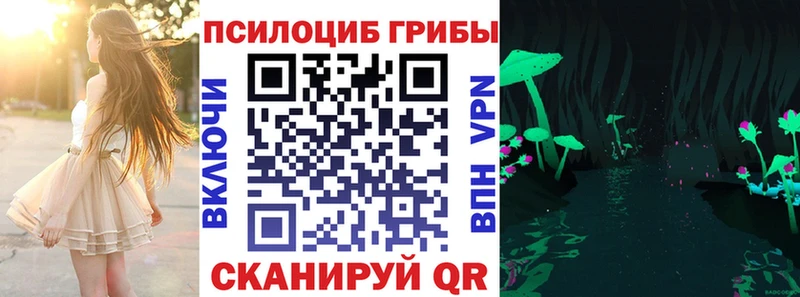 Псилоцибиновые грибы Psilocybine cubensis  blacksprut как зайти  Шадринск  купить наркоту 