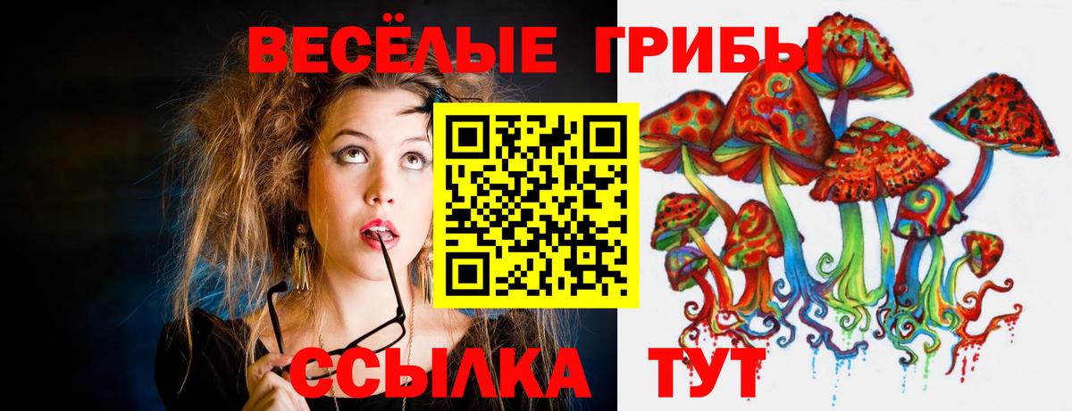 Шадринск  Галлюциногенные грибы GOLDEN TEACHER  Вход с VPN 