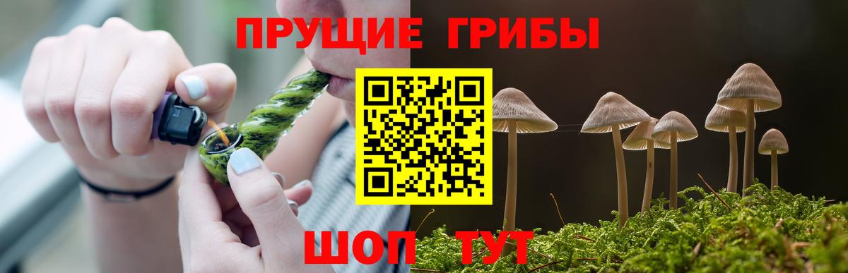 Псилоцибиновые грибы Cubensis Шадринск